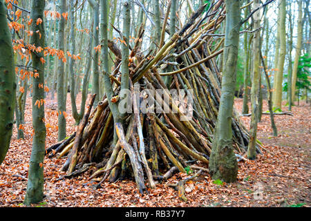 Den in Wendover Woods, Wendover, Buckinghamshire, Großbritannien. Spaß für Kinder. Stockfoto