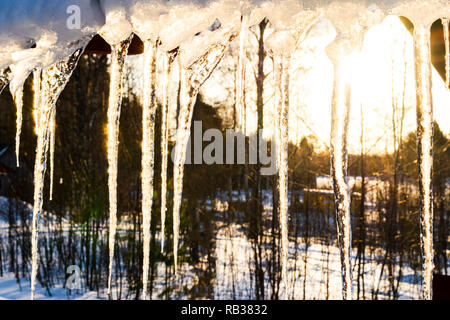 Schöne Eiszapfen leuchten in der Sonne vor blauem Himmel. Frühling Landschaft mit Ice Eiszapfen hängen vom Dach des Hauses. Feder tropfen Eiszapfen zu tropfen. Schmelzen Stockfoto