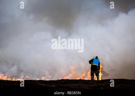 Heideland brennen in kleinen Bereichen der Pennine Moors turnusmäßig in den Wintermonaten ein Lebensraum für Grouse für Aufnahmen zu erstellen. Stockfoto