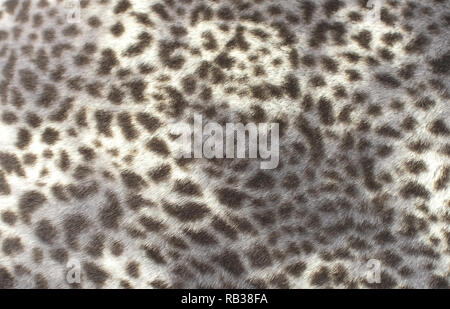 Fake leopard Fell Muster wildlife drucken Stil Stockfoto