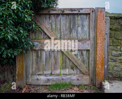 Hölzerne Tor, das in der ummauerten Garten hinter den Cottages neben den Ruinen der Cowdray Haus, Midhurst, West Sussex, Großbritannien Stockfoto