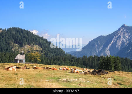 Berge, Alpen, Montafon, Österreich Stockfoto