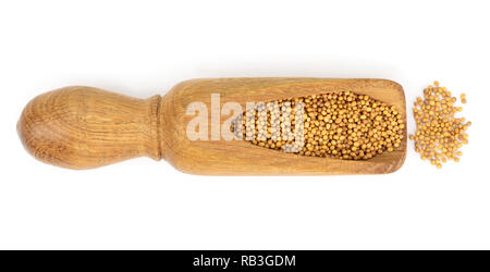 Gelbe Senfkörner in Holz- Schaufel auf weißem Hintergrund, Ansicht von oben Stockfoto