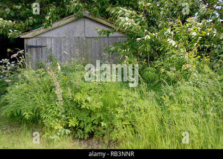 Heimische garage unzugänglichen aufgrund der langen Gras vor der Tür wächst, England Stockfoto