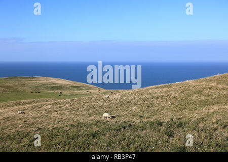 Blick vom Great Orme, Llandudno, Conwy County, North Wales, Wales, Vereinigtes Königreich, Europa Stockfoto