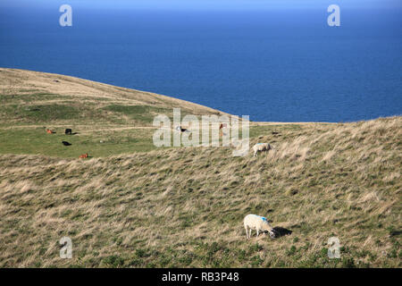 Blick vom Great Orme, Llandudno, Conwy County, North Wales, Wales, Vereinigtes Königreich, Europa Stockfoto