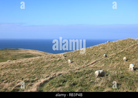 Blick vom Great Orme, Llandudno, Conwy County, North Wales, Wales, Vereinigtes Königreich, Europa Stockfoto