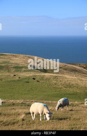 Blick vom Great Orme, Llandudno, Conwy County, North Wales, Wales, Vereinigtes Königreich, Europa Stockfoto