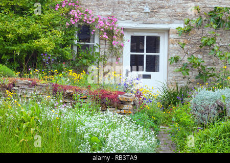 Weiße Holztüren in einem englischen Landhaus mit Garten voller Blumen in voller Blüte, Rosa, Feigenbaum klettern die Mauer aus Stein. Stockfoto