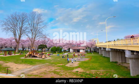 Voller Blüte Cherryblossom Sakura bei Kitakami Tenshochi Park in Kitakami, Iwate, Japan Iwate, Japan - 22 April 2018: kitakami Tenshochi Park von Stockfoto