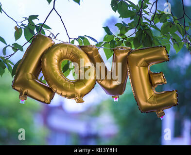 Golden Liebe Ballon hängend in einem Baum Stockfoto