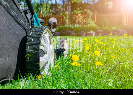 Mähen rasen. Rasenmäher auf grünem Gras. Mähwerk Gras. Mähen Gärtner