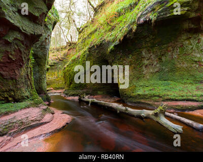 Devil's Kanzel - Finnich Glen Hidden River Cliffs in Schottland Stockfoto