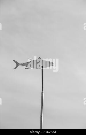 Die Schwarz-Weiß-Fotografie von Thunfisch geformte Wetter Flügel auf dem Stick Stockfoto