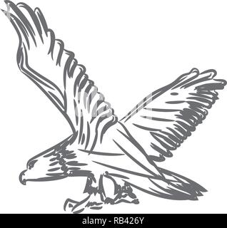 Adler mit gespreizten Flügeln für Symbol oder Logo Design. Line Art Stil Vector Illustration. Stock Vektor