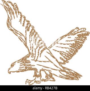 Adler mit gespreizten Flügeln für Symbol oder Logo Design. Line Art Stil Vector Illustration. Stock Vektor