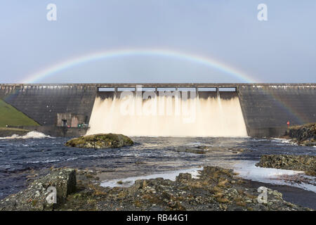 Kuh Grün Behälter überlaufen Aufgrund der starken Regenfälle, die durch Sturm Brian am 22. Oktober 2017, Teesdale County Durham, Großbritannien Stockfoto