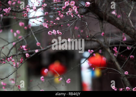 Chongqing, China. 6. Januar, 2019. Foto auf Jan. 6, 2019 zeigt das Festival Dekorationen die bevorstehende Neujahrsfest in Zhuoshui antike Stadt im Bezirk Qianjiang begrüßen zu genommen, im Südwesten von China Chongqing, China. Credit: Yang Min/Xinhua/Alamy leben Nachrichten Stockfoto