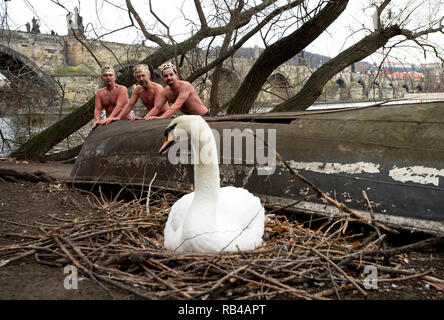 Prag, Tschechische Republik. 06 Jan, 2019. Winter Schwimmer nehmen an den traditionellen Drei Könige schwimmen in der Moldau in Prag, Tschechische Republik, 6. Januar 2019. Credit: Katerina Sulova/CTK Photo/Alamy leben Nachrichten Stockfoto