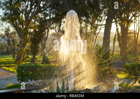 Kühlung Wassertröpfchen Sprühen von diesem Pilz geformte dekorative Brunnen erscheinen wie golden leuchtende Funken in der warmen Morgensonne. Stockfoto