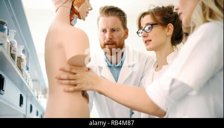 Student der Medizin untersuchen anatomische Modell im Labor Stockfoto