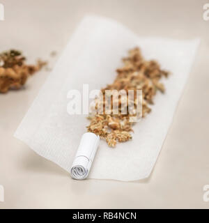 Die Vorbereitung einer gemeinsamen medizinischen Cannabis mit Tabak und Rolling Paper mit Marihuana bud auf weißem Hintergrund. Cannabis Nahaufnahme Stockfoto