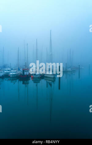 Yachten und Boote im Nebel, im Hafen Stockfoto