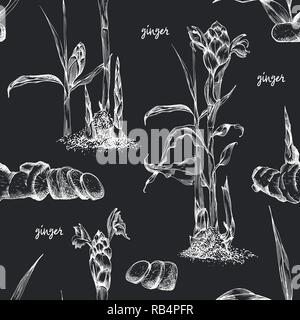 Nahtlose patternhand gezeichnet von Ingwer Wurzeln, lebt und Blumen in weißer Kreide Farbe auf Schwarz board Hintergrund isoliert. Retro Vintage Grafikdesign. botanische Zeichnung, Gravur Stil Stock Vektor
