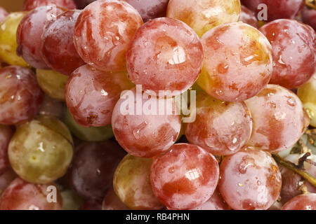 Nasse Trauben detail Stockfoto