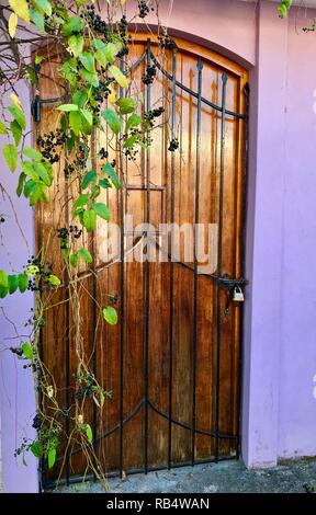 Eine schöne Holztür mit hängenden weinstock von einem Lavendel Mauer umgeben Stockfoto