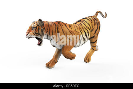 Gefährliche Bengal Tiger Brüllen und Springen isoliert auf weißem Hintergrund, mit Freistellungspfad, 3D-Darstellung. Stockfoto