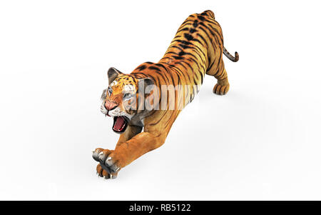 Gefährliche Bengal Tiger Brüllen und Springen isoliert auf weißem Hintergrund, mit Freistellungspfad, 3D-Darstellung. Stockfoto