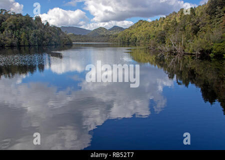 Reflexionen auf dem Gordon River Stockfoto