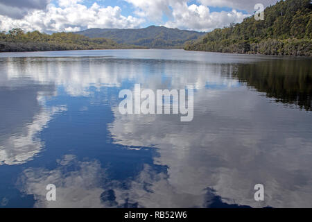 Reflexionen auf dem Gordon River Stockfoto