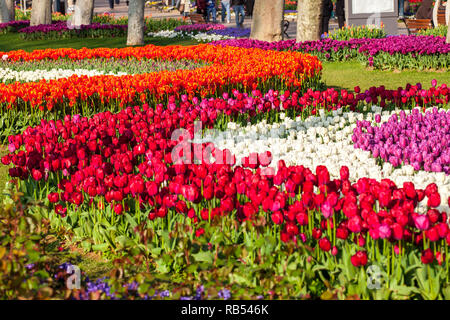 Gulhane Park, Blumen Garten in Istanbul - Türkei Stockfoto