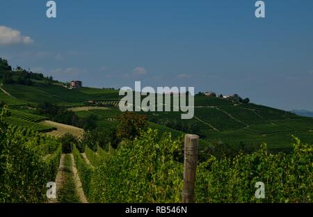 La Morra, Piemont, Italien. Juli 2018. Außerhalb der Stadt, die herrlichen Weinberge. Ein Blick auf die wunderschöne Landschaft des Platzes. Stockfoto