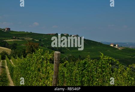 La Morra, Piemont, Italien. Juli 2018. Außerhalb der Stadt, die herrlichen Weinberge. Ein Blick auf die wunderschöne Landschaft des Platzes. Stockfoto