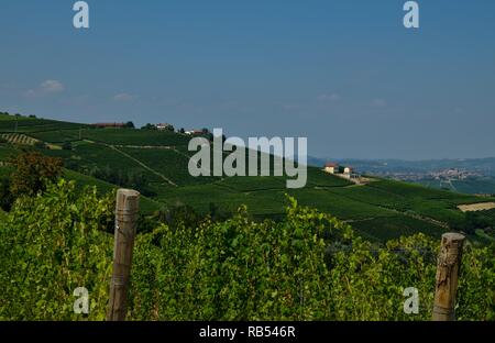 La Morra, Piemont, Italien. Juli 2018. Außerhalb der Stadt, die herrlichen Weinberge. Ein Blick auf die wunderschöne Landschaft des Platzes. Stockfoto