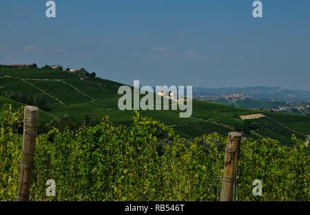 La Morra, Piemont, Italien. Juli 2018. Außerhalb der Stadt, die herrlichen Weinberge. Ein Blick auf die wunderschöne Landschaft des Platzes. Stockfoto