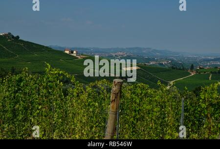 La Morra, Piemont, Italien. Juli 2018. Außerhalb der Stadt, die herrlichen Weinberge. Ein Blick auf die wunderschöne Landschaft des Platzes. Stockfoto