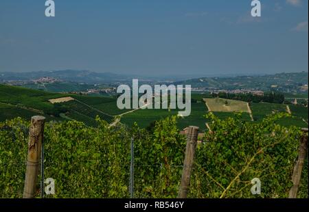 La Morra, Piemont, Italien. Juli 2018. Außerhalb der Stadt, die herrlichen Weinberge. Ein Blick auf die wunderschöne Landschaft des Platzes. Stockfoto