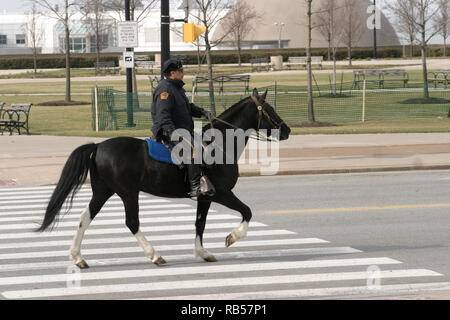 Mounted Police patrouilliert auf der Straße in Cleveland, Ohio, USA Stockfoto