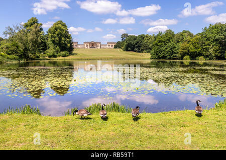 Canada Gänse am See bei Stowe House Gardens, Buckinghamshire UK Stockfoto