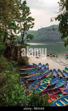 Touristen, die auf der Suche an der bunte Boote in See in Pokhara in Nepal. Stockfoto