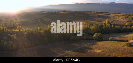 Antenne Panorama der Schweizer Winzer Dorf Dardagny im Kanton Genf mit seinen Weinbergen und den Jura im Hintergrund Stockfoto