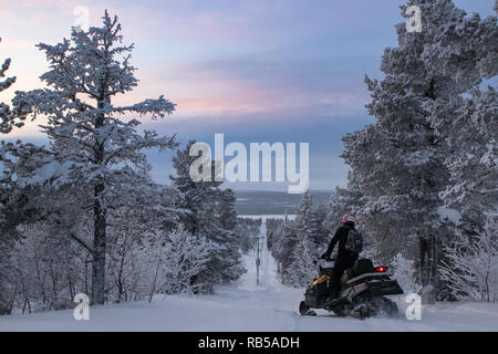 Person reiten mit einem schneemobil in einer schwedischen Wald bei Sonnenaufgang im Winter. Organisierte Tour in der Nähe des Eishotel in Jukkasjärvi. Stockfoto