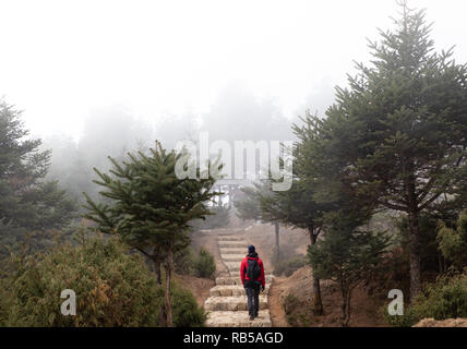 Frau zu Fuß die Treppen im Nebel in der Nähe von Namche Baazar Stadt in Nepal während des Everest Base Camp Trek am frühen Morgen. Stockfoto