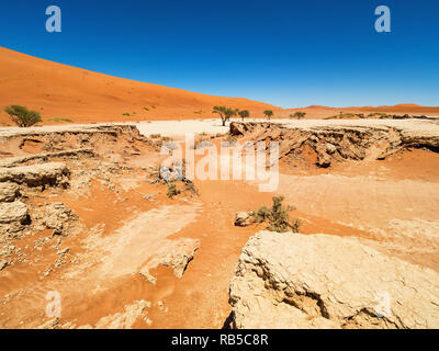 Wüstenlandschaft mit roten Dünen und tote Bäume und rootsat Camelthorn in Deadvlei, Salz pan Sossusvlei. Namib Naukluft National Park, Namibia Stockfoto