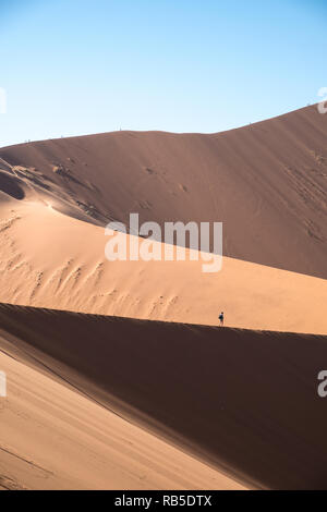 Toter Baum in Deadvlei Namibia bei Sonnenaufgang Stockfoto