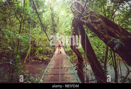 Übergabe Brücke im grünen Dschungel, Costa Rica, Mittelamerika Stockfoto